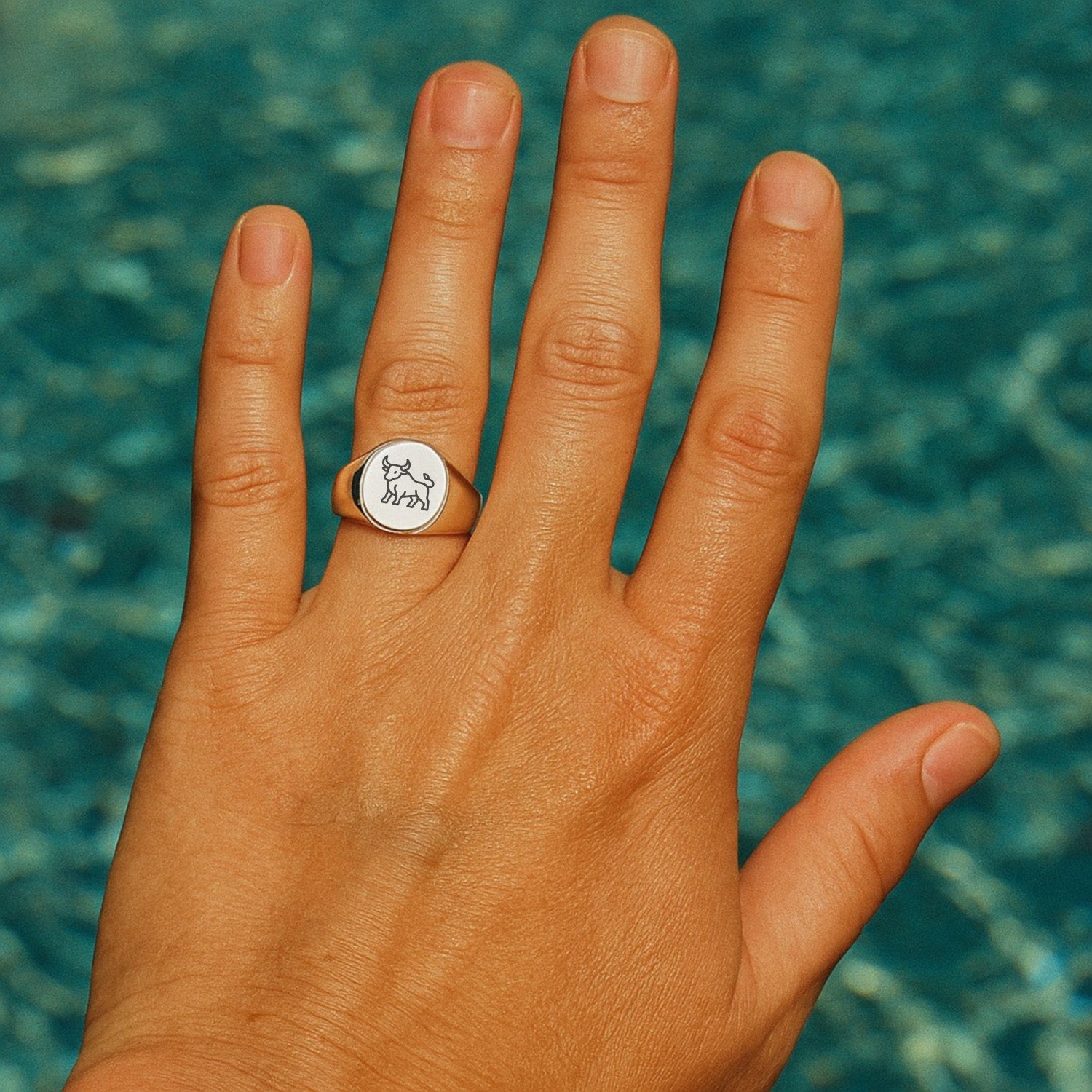 Uptrend Signet Ring (925 Sterling Silver) - Ring - Men's Jewellery